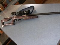 Gun1.jpg