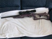 Gun3.jpg