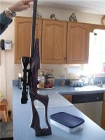 Gun2.jpg