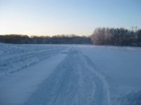 2010 snow6.jpg