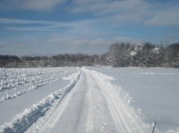 2010 snow8.jpg