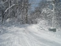 2010 snow11.jpg