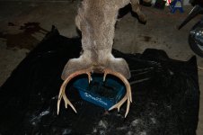 DSC_0023.JPG