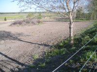 DSCN1151.JPG