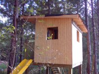 Deer Stand...Tree House.jpg