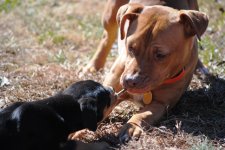 tug of war.jpg