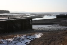 IMG_7042.JPG