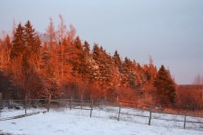 IMG_6925.JPG