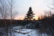 IMG_6917.JPG
