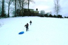 kids on hill.JPG