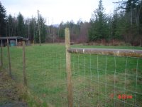 Fenceposts 001.jpg