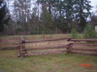 Fenceposts 002.jpg