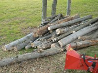 Firewood 2009 023.jpg