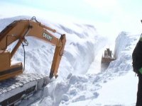 snow2.jpg.jpg