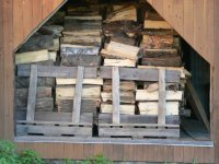 Firewood 2009 015.jpg