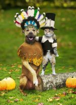 340049-Happy Thanksgiving.jpg