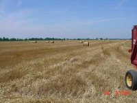 366581-wheat bales.jpg