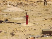 340540-stuckauger.JPG