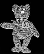 6-149929-X-Ray.jpg