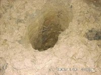 340958-rightfronthole.JPG
