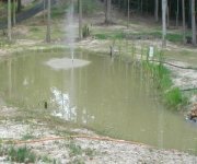 251283-pond.jpg