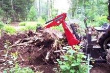 299717-stump.jpg