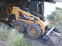 411687-2Cat216.jpg