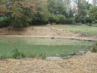 33-201533-POND4.JPG