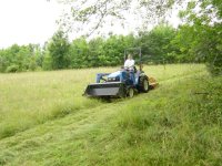 300099-harrison_field_mowing 010.jpg