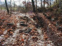 33-82442-ruts2.jpg