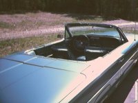 6-82687-T-bird1.JPG