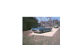 6-203551-T-bird7.JPG