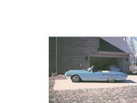 6-82734-T-bird8.JPG