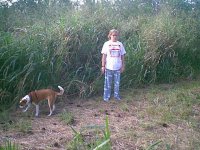 33-82815-berm.jpg