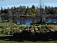 251741-pond7.jpg