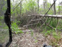 IMG_0055.jpg