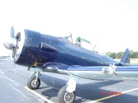 T-6.JPG