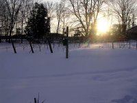 DSCN5054.jpg