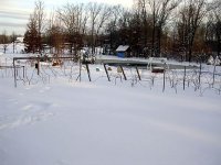 DSCN5057.jpg