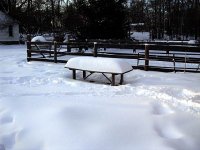 DSCN5051.jpg