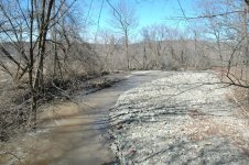 DSC_0313.jpg