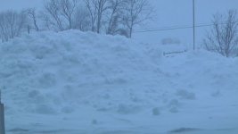 snowpile.jpg