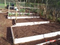 DitchCompost 008.jpg