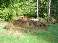 DitchCompost 011.jpg