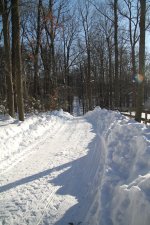 IMG_1095.jpg