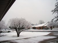 Snow02112010 004.JPG