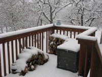 Snow2-21-2010-02.jpg