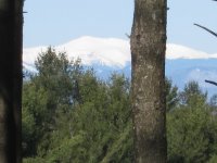 IMG_0670.jpg