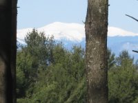 IMG_0668.jpg