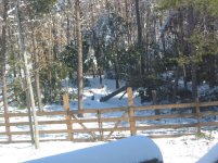 IMG_0001.jpg